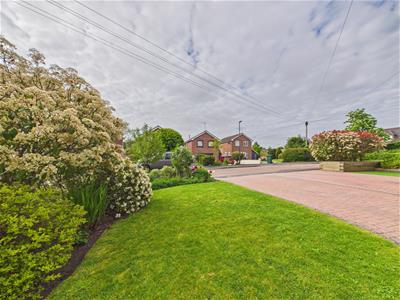 Picture 34